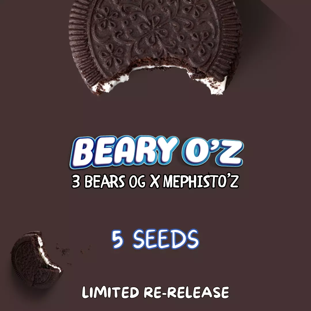 Beary O’z