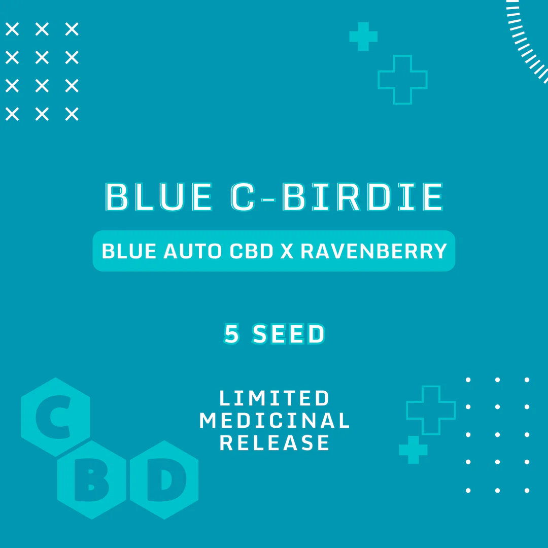 Blue C-Birdie