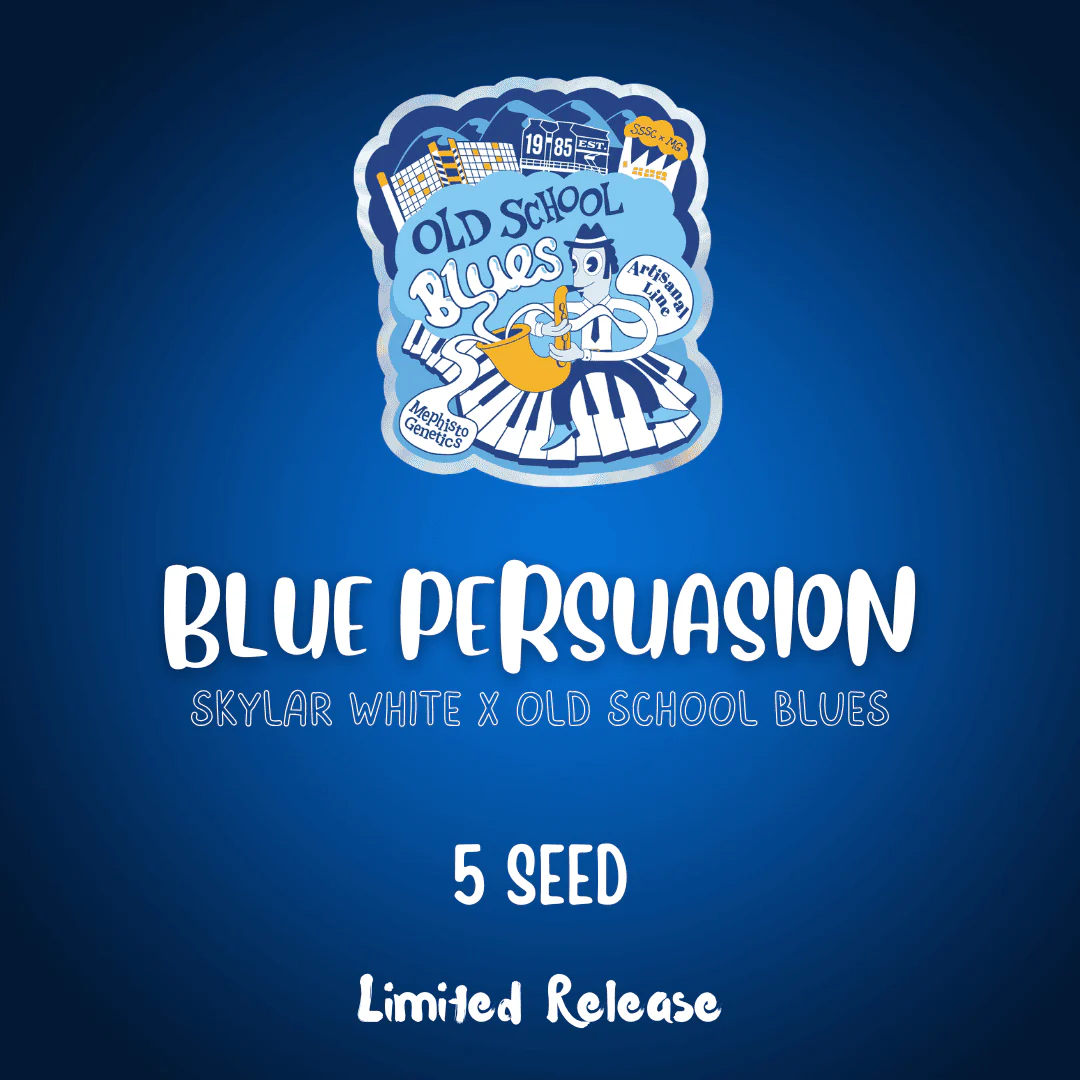 Blue Persuasion