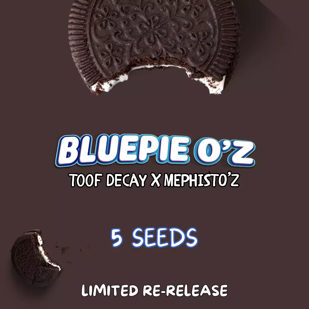 Blue Pie O'z