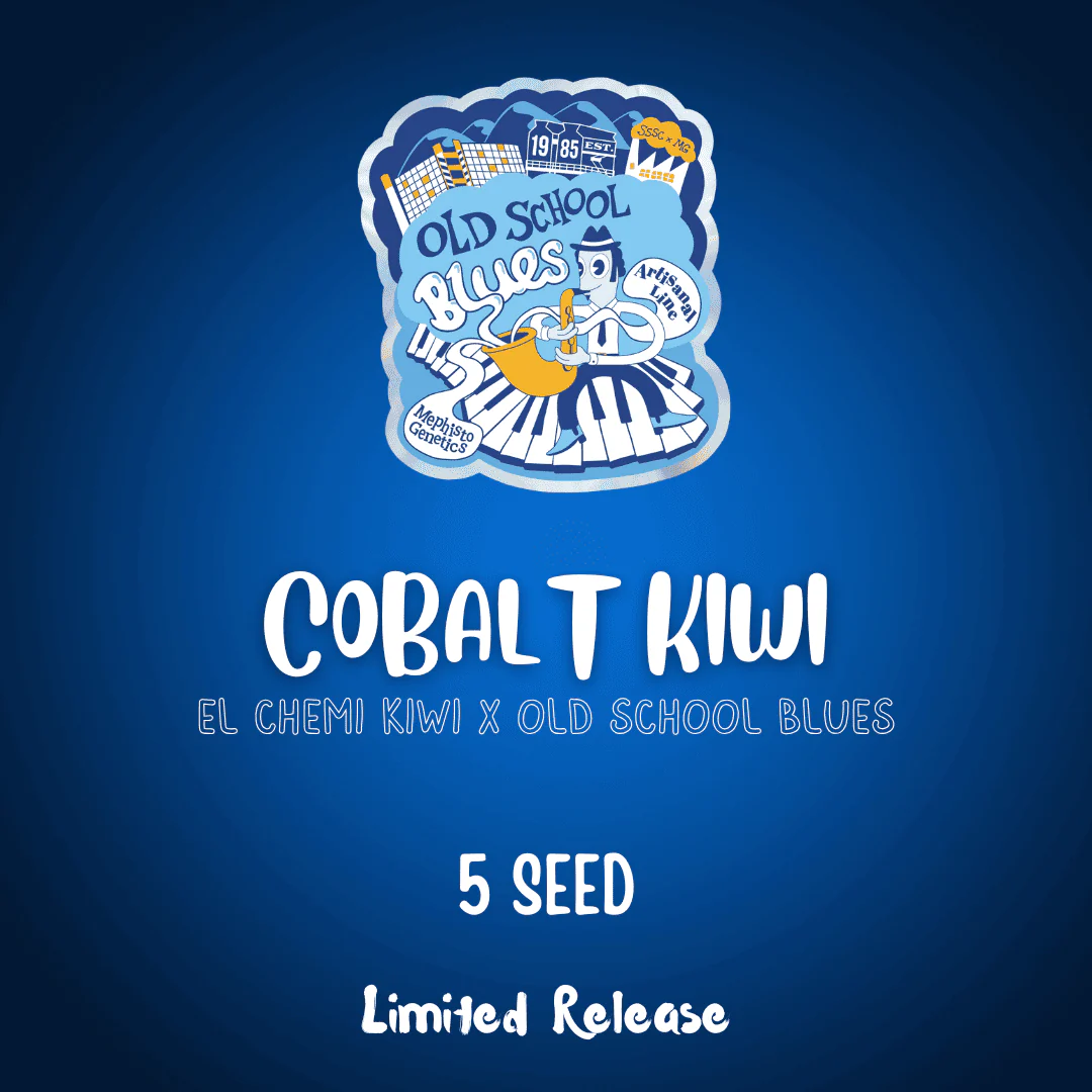 Cobalt Kiwi
