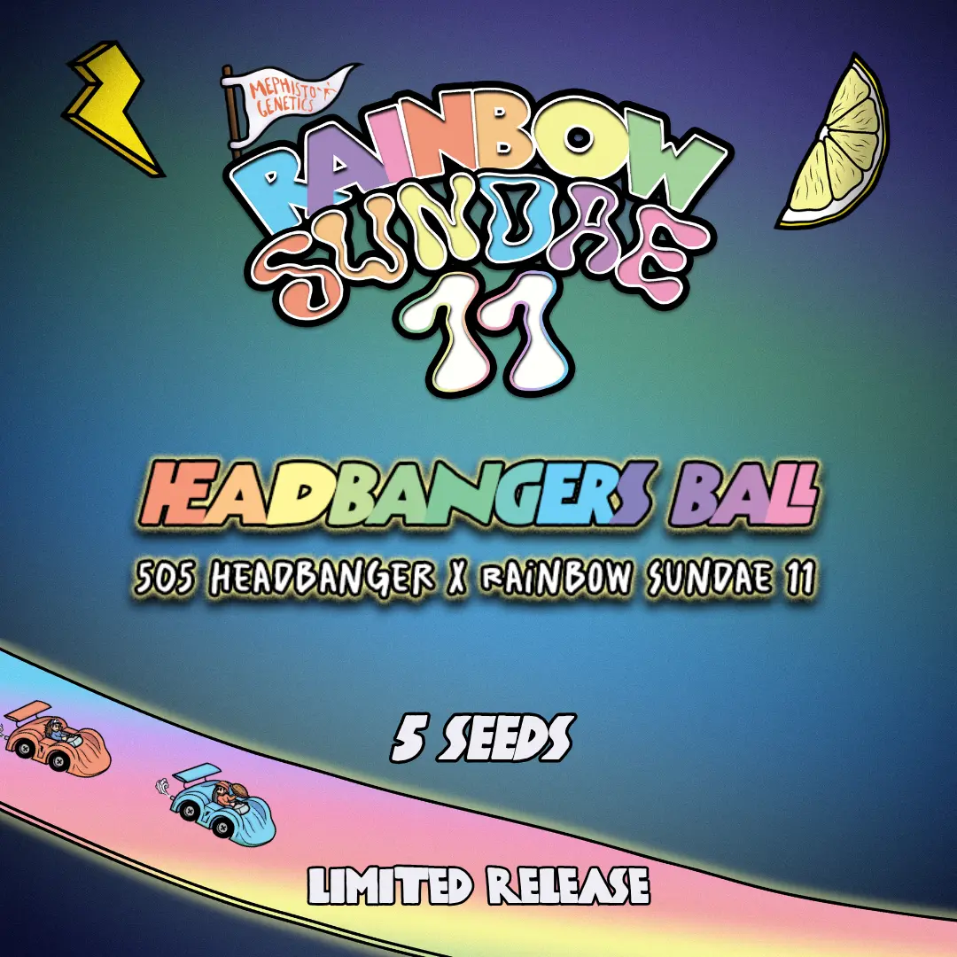 Headbangers Ball