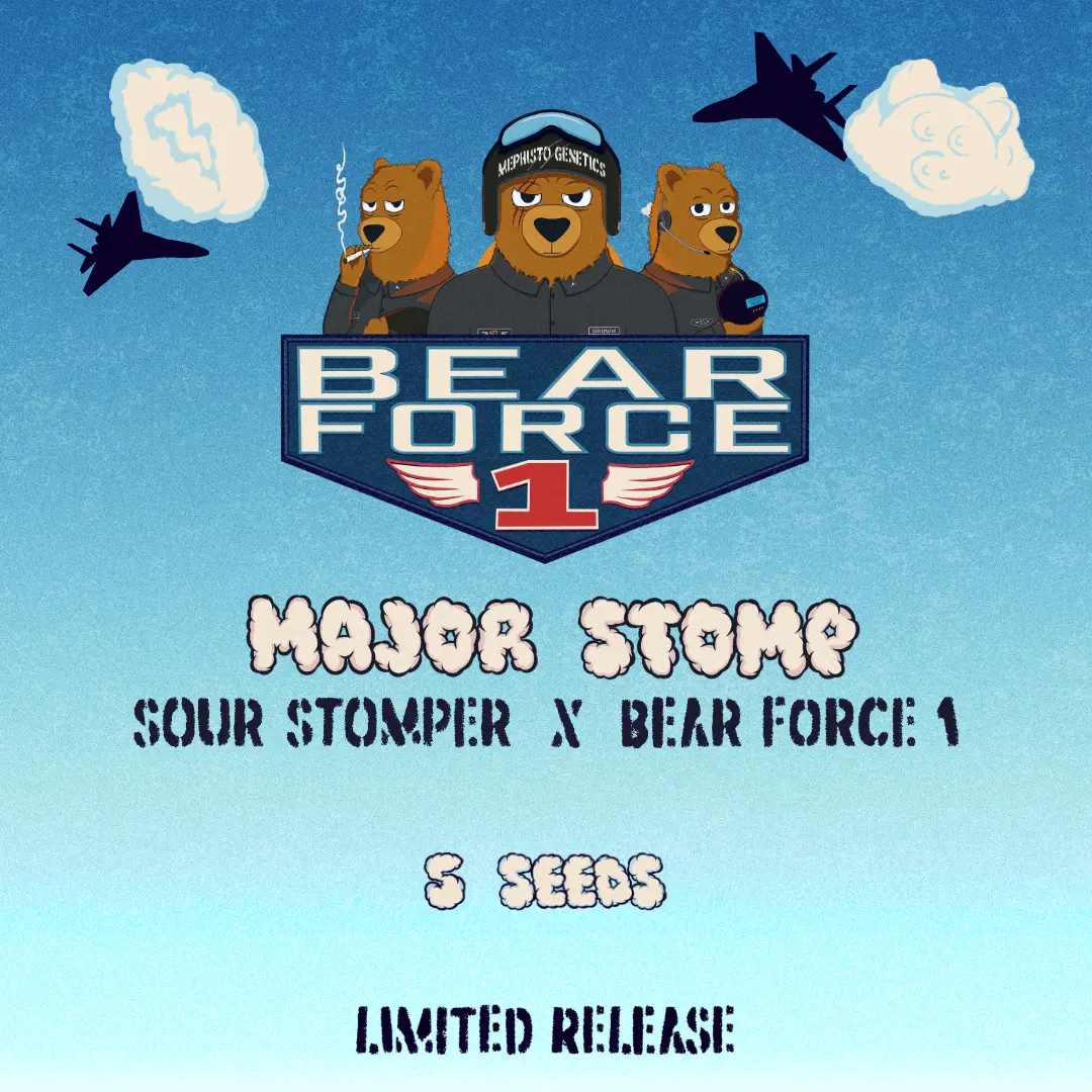Major Stomp