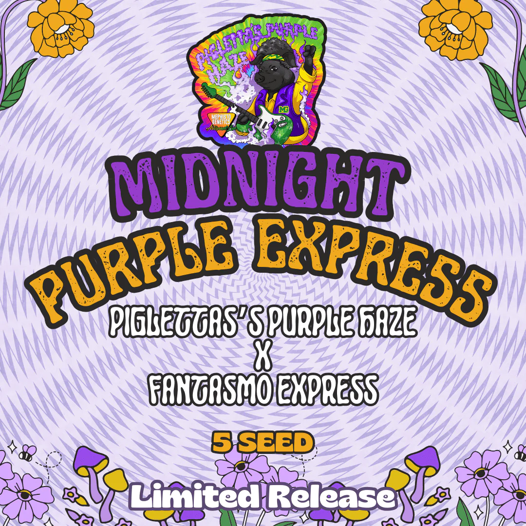 Midnight Purple Express