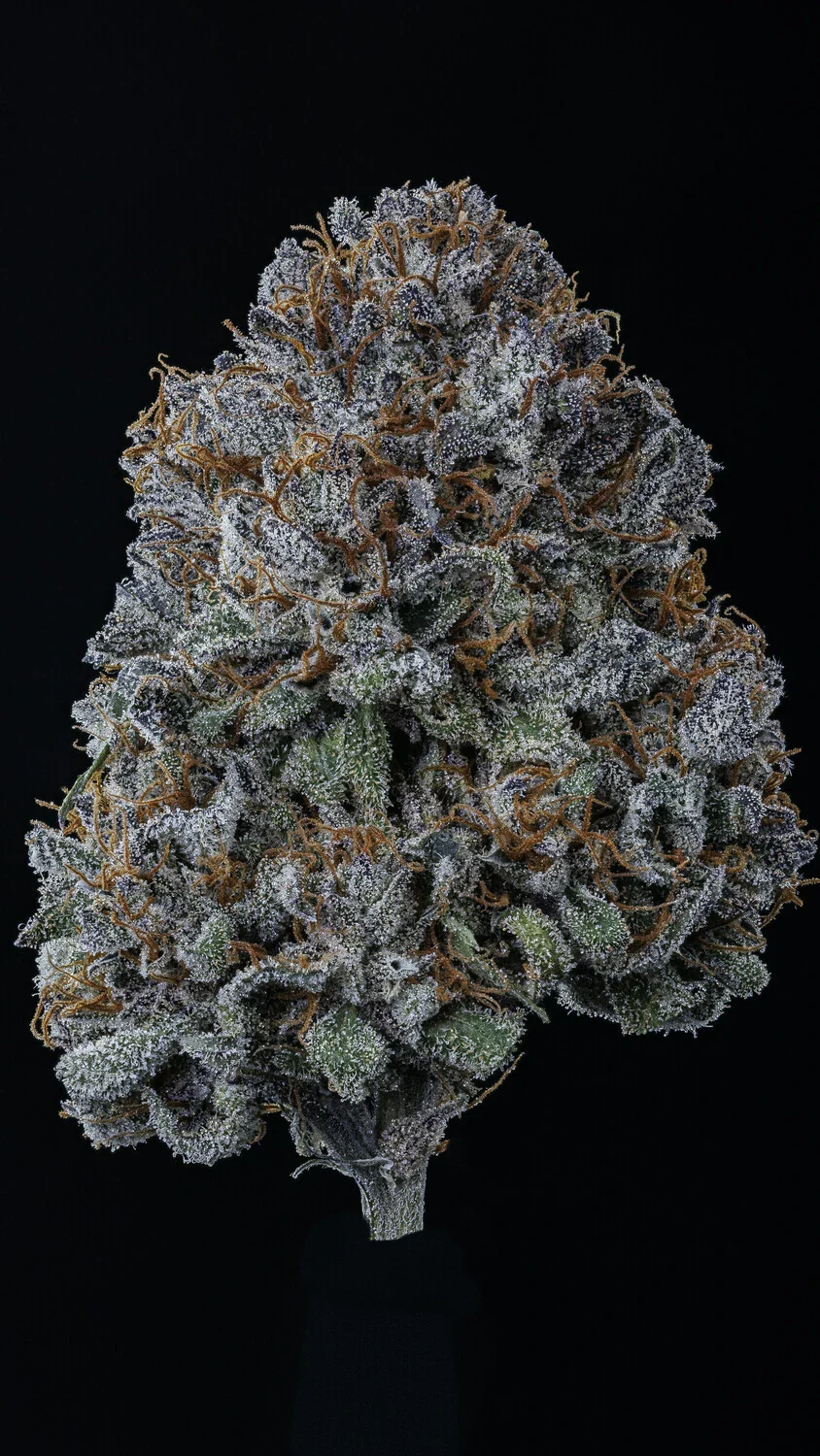 Rainbow Sundae 11 - Image 3