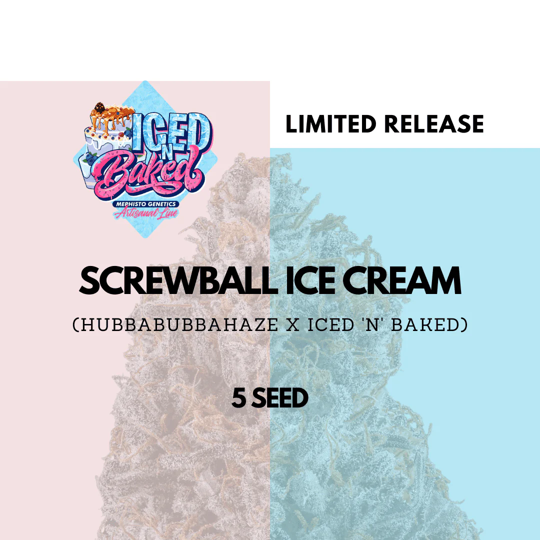 Screwball Ice Cream