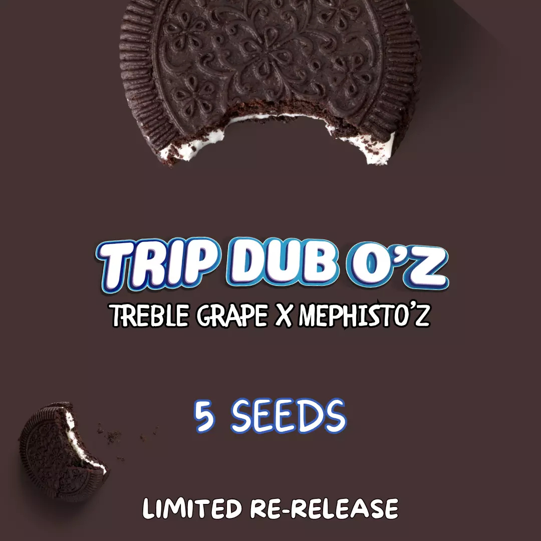 Trip Dub O'z